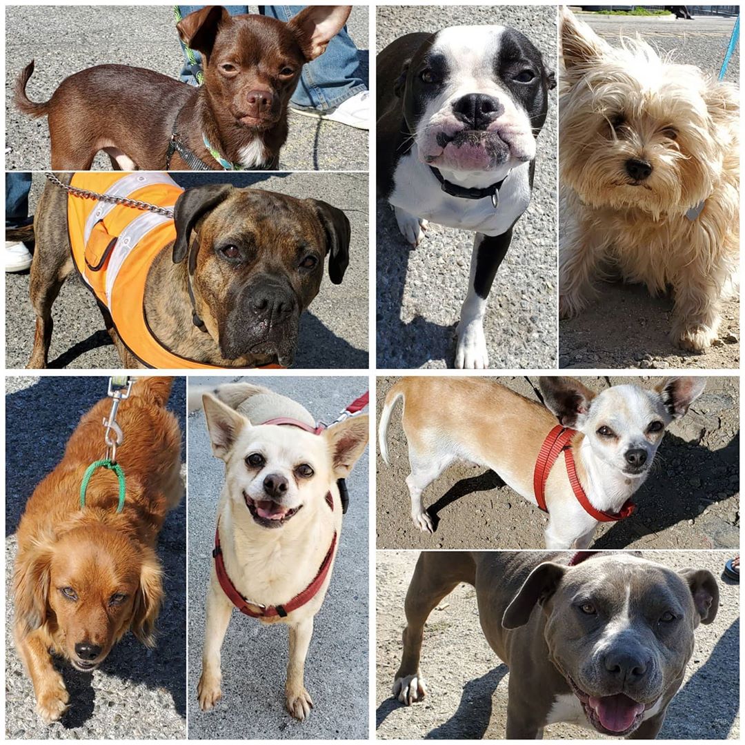 Monday On The Move 5-4-2020
