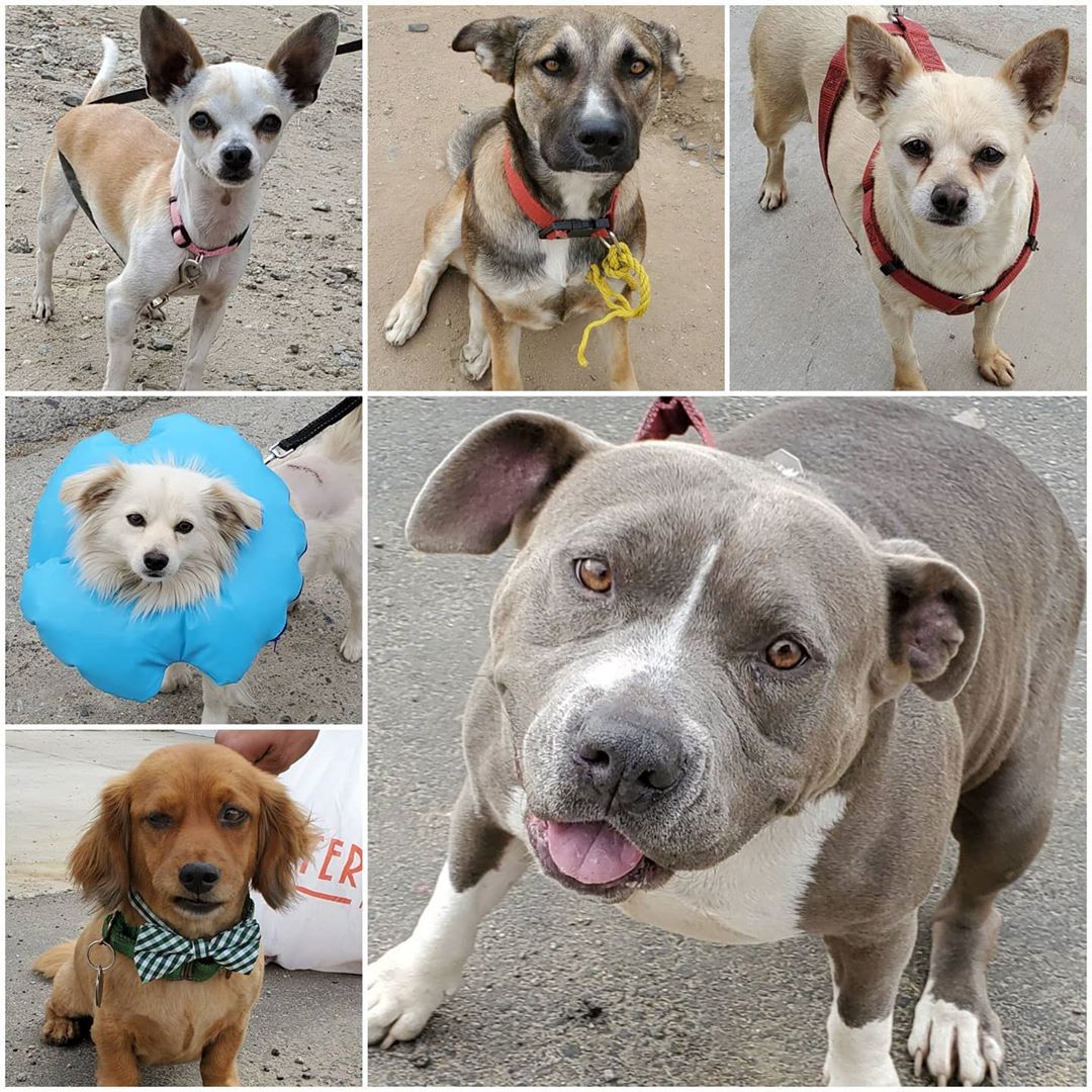Monday On The Move 5-18-2020