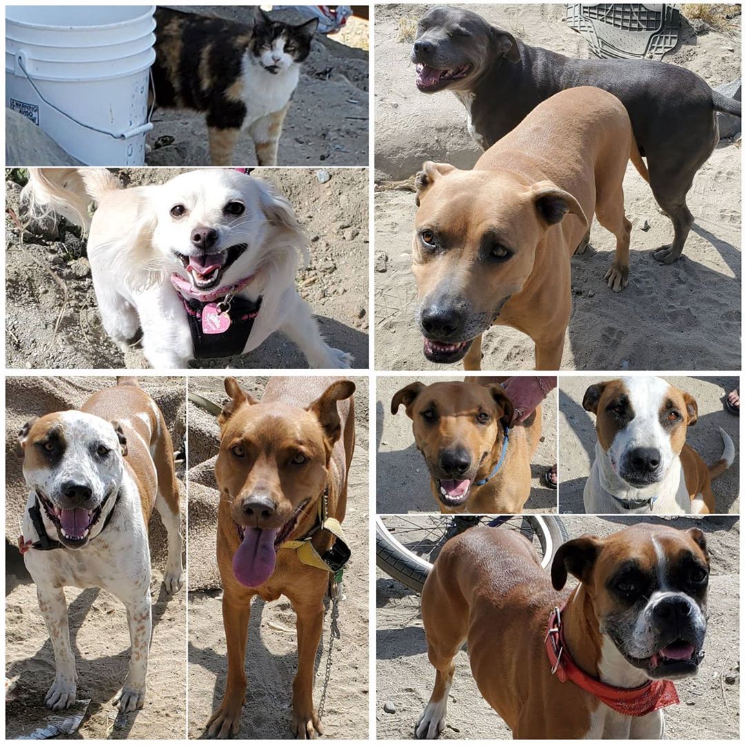 Saturday's Smiles 5-23-2020