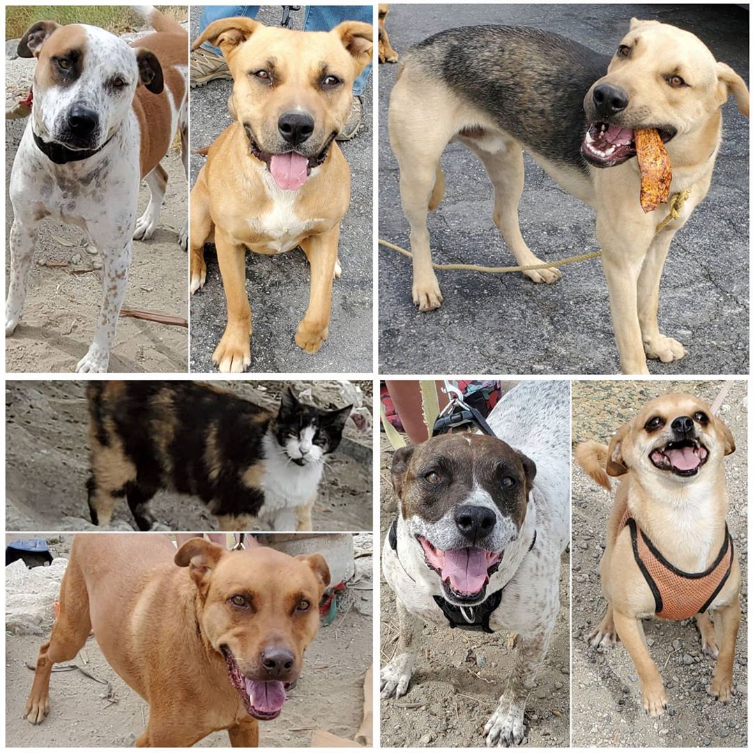 Saturday's Smiles 5-30-2020