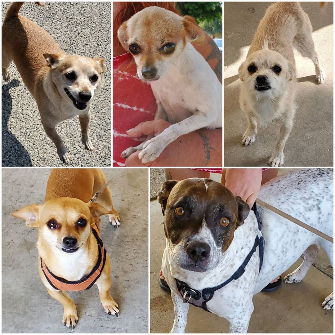 Tuesday's Treasures 8-4-2020
