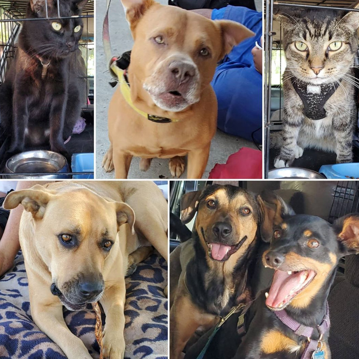 Saturday's Smiles 9-5-2020