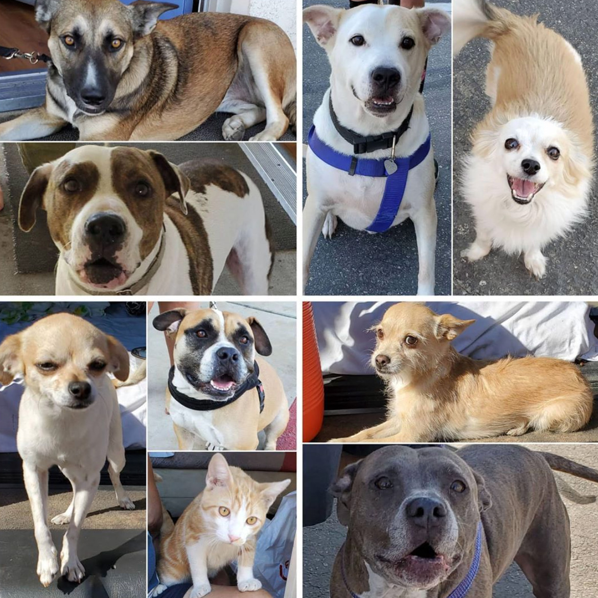 Saturday's Smiles 9-19-2020