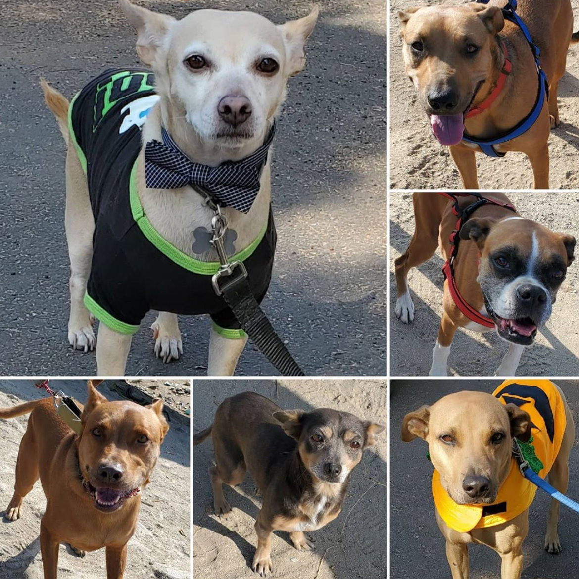 Saturday's Smiles 9-26-2020