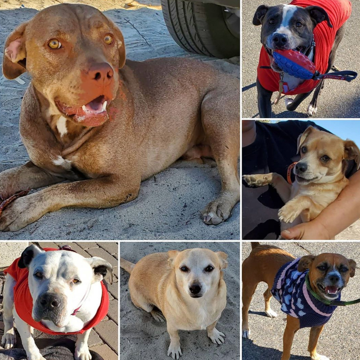 Saturday's Smiles 10-31-2020