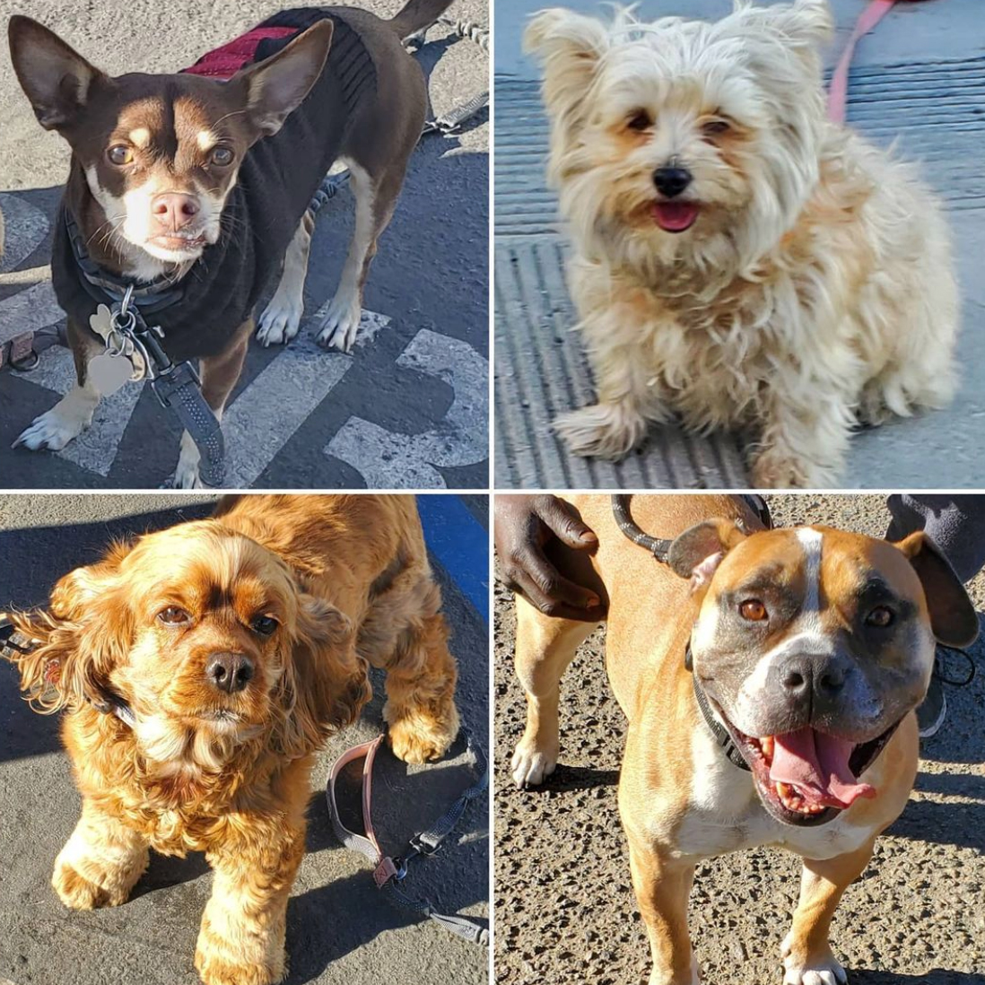 Monday On The Move 1-11-2021