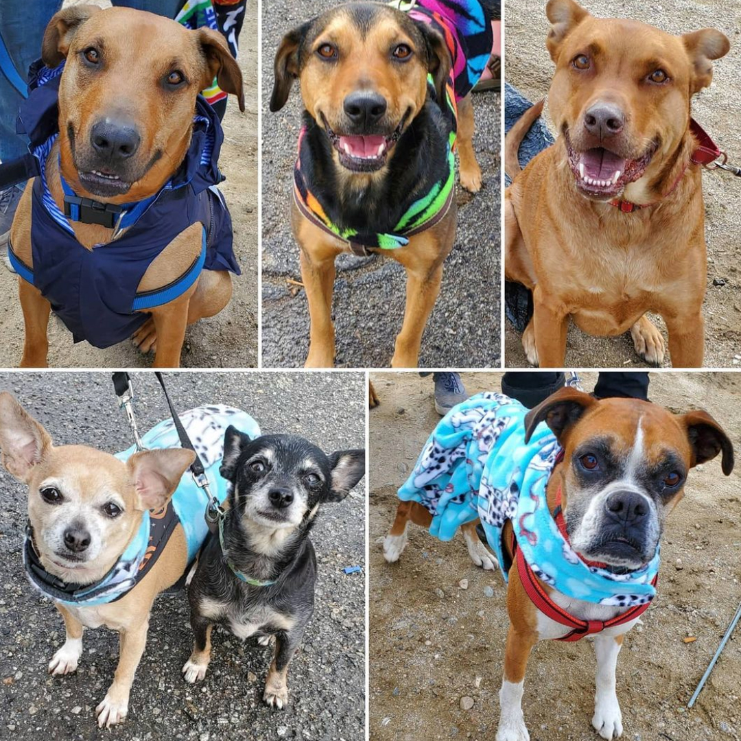 Saturday's Smiles 1-23-2021