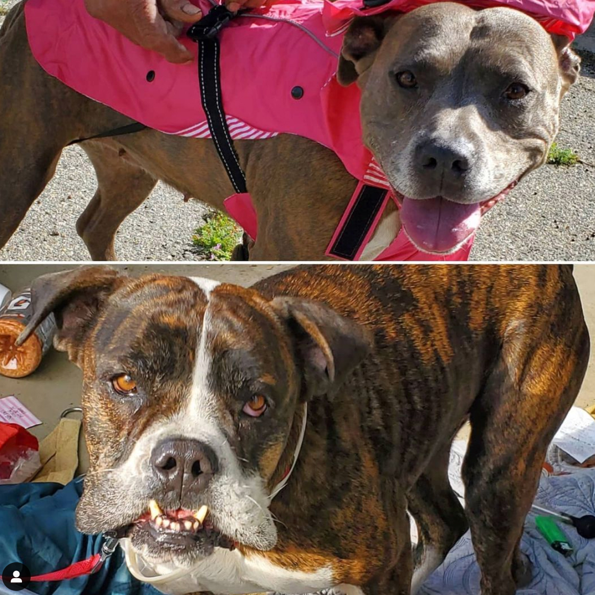 Saturday's Smiles 2-13-2021
