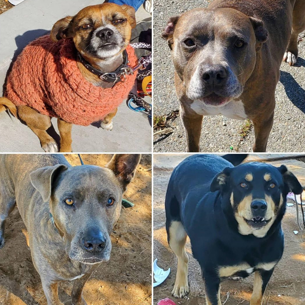 Thursday's Treasures 3-4-2021