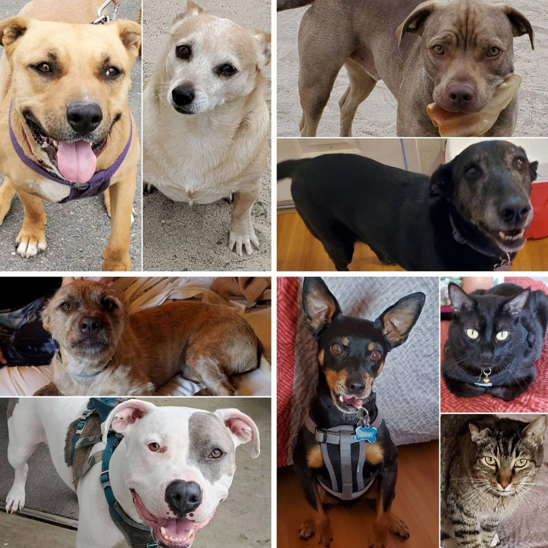 Saturday's Smiles 4-24-2021