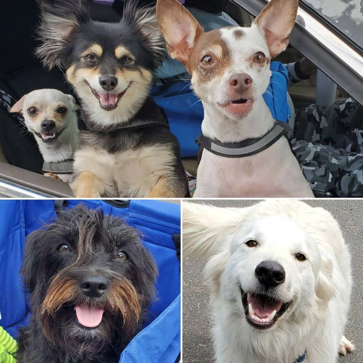 Saturday's Smiles 7-10-2021