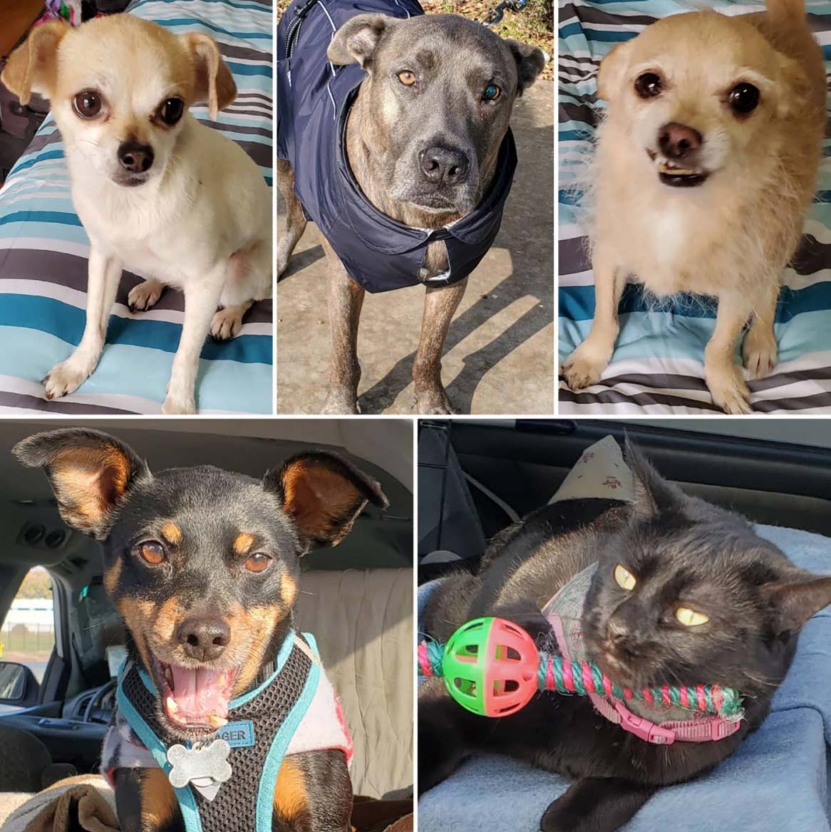 Saturday's Smiles 1-8-2022