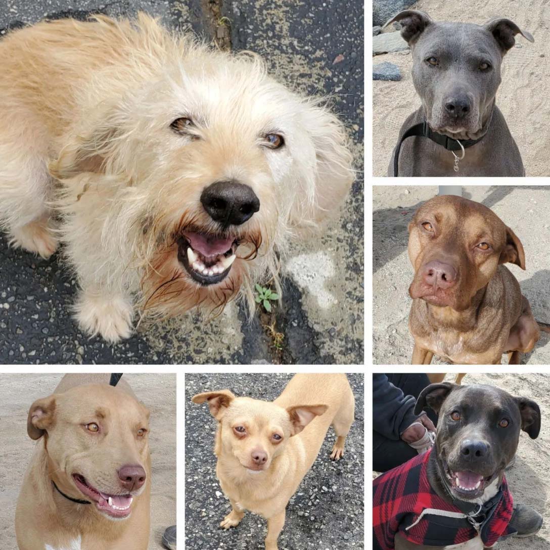 Saturday's Smiles 3-5-2022