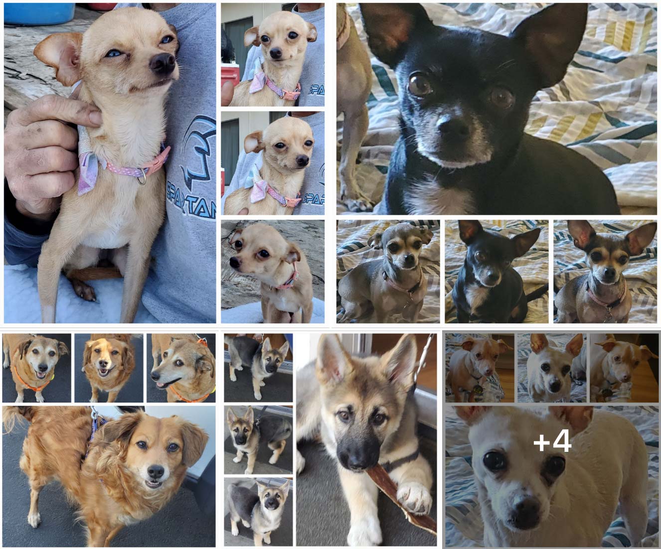 Thursday's Treasures 9-22-2022