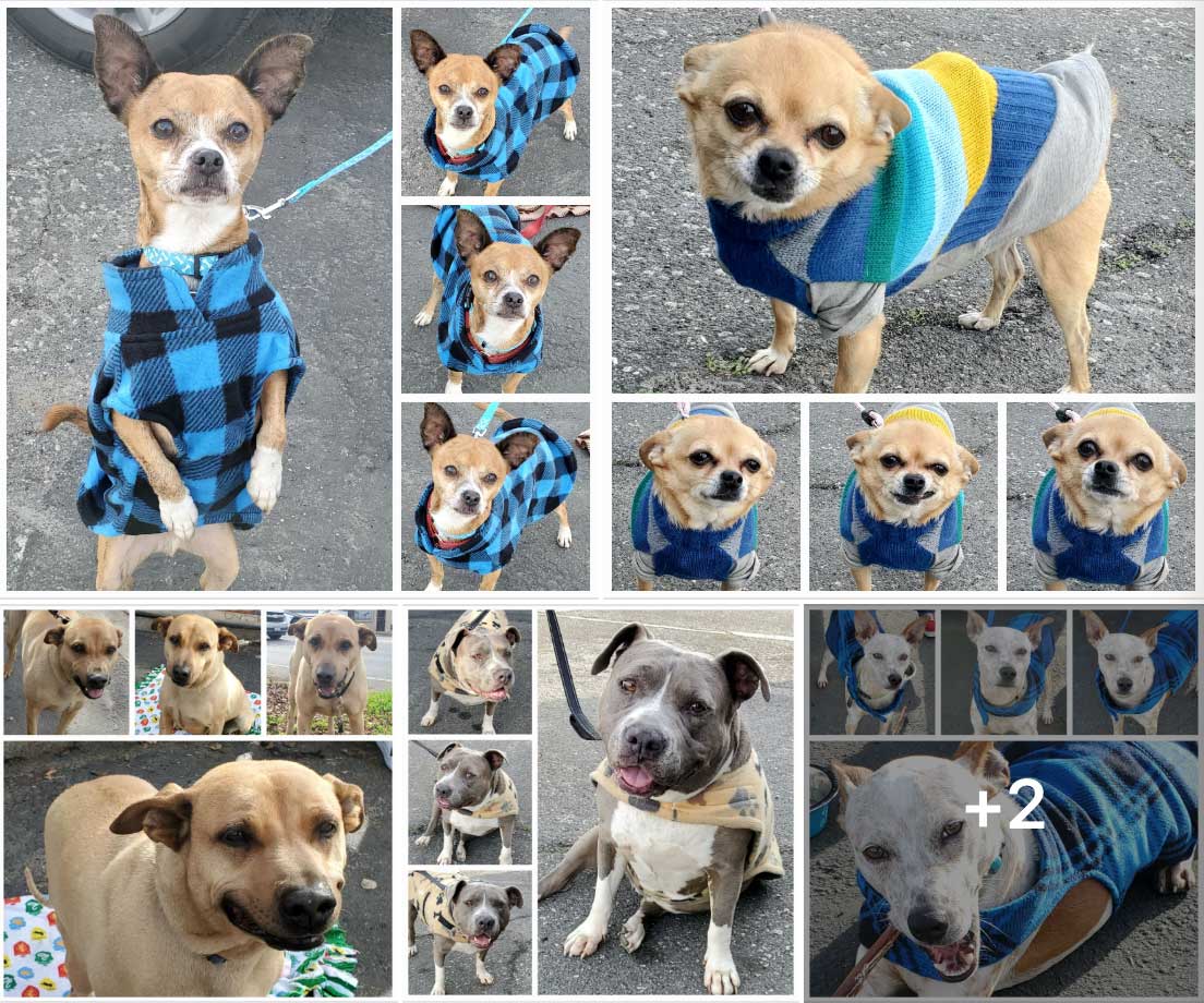 Friday's Furry Friends 1-13-2023