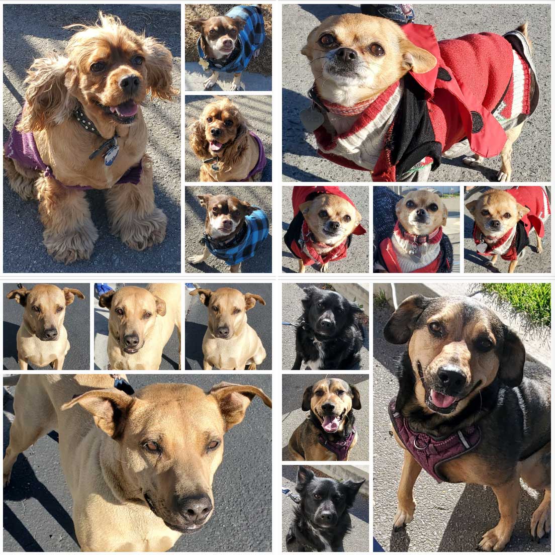 Monday On The Move 1-23-2023