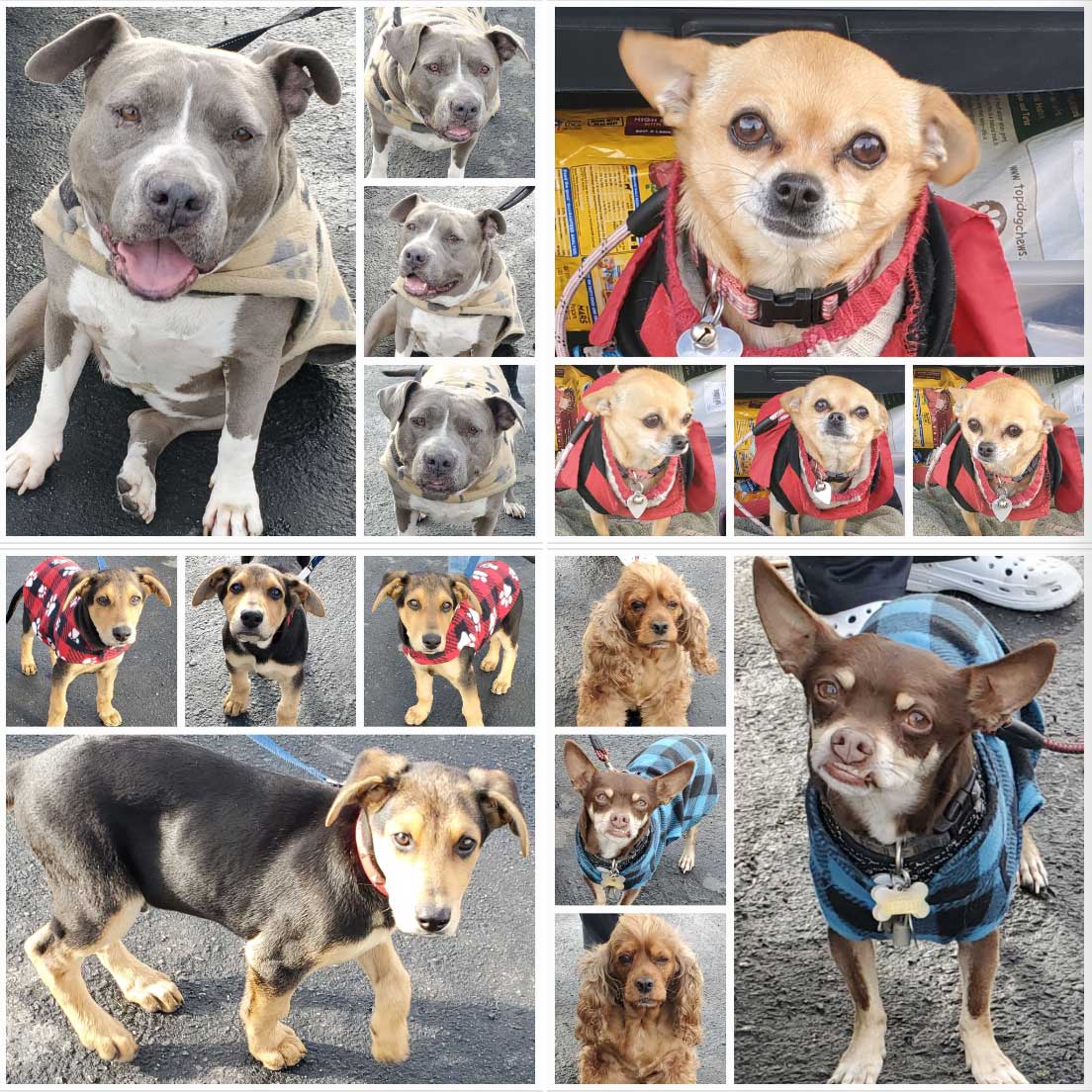 Monday On The Move 1-30-2023