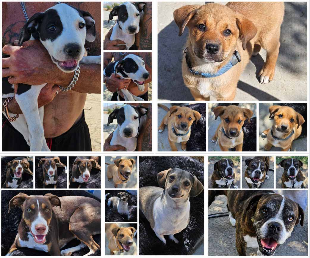 Saturday's Smiles 8-5-2023