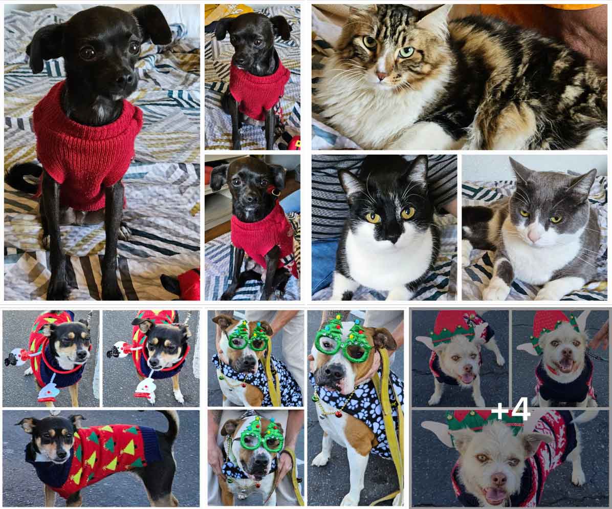 Motel Room Recipients 12-27-2023
