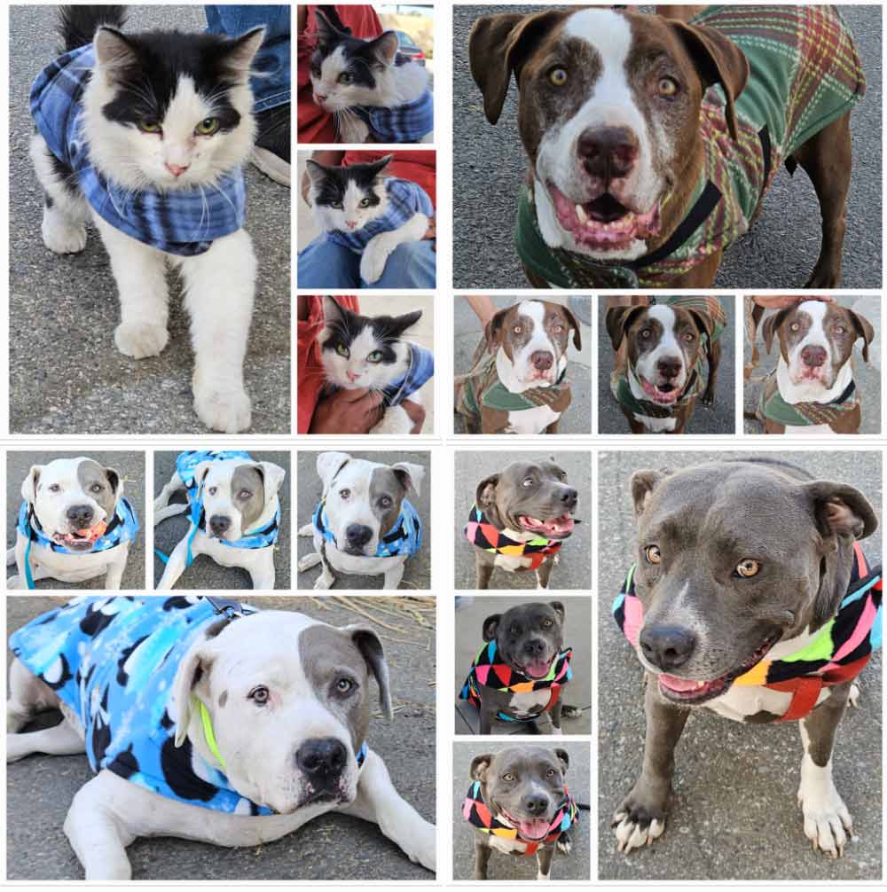 Saturday's Smiles 10-26-2024