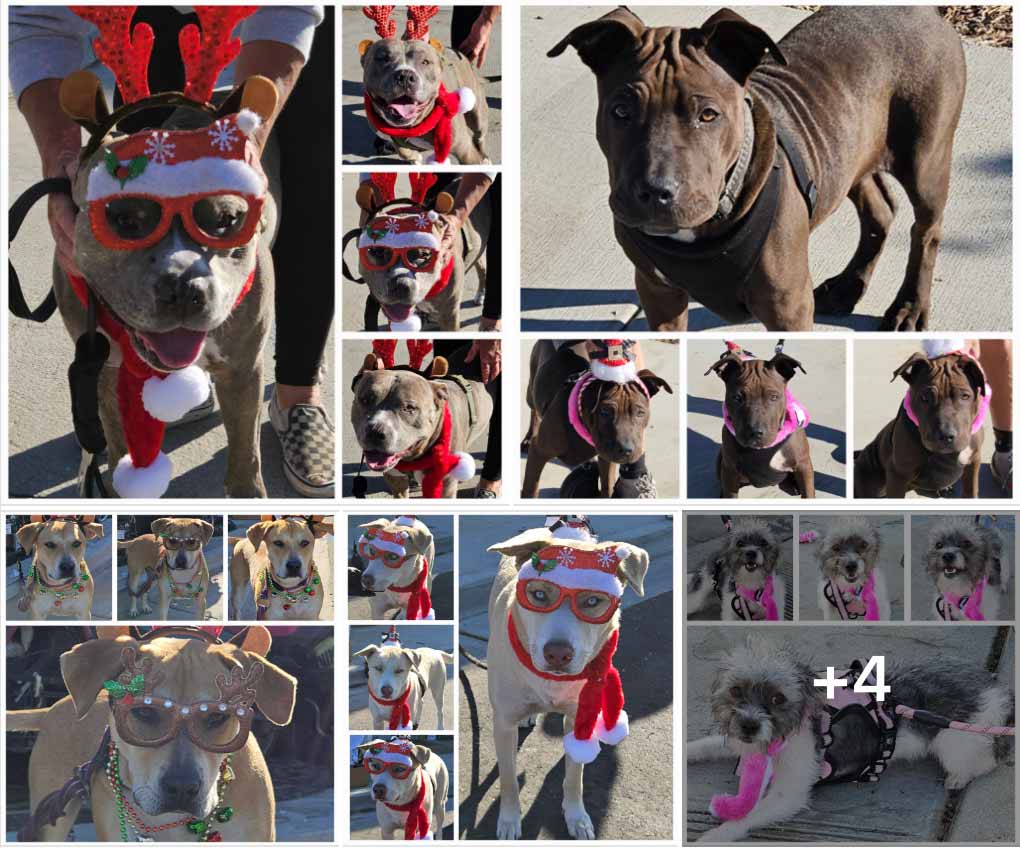 Monday On The Move 12-16-2024