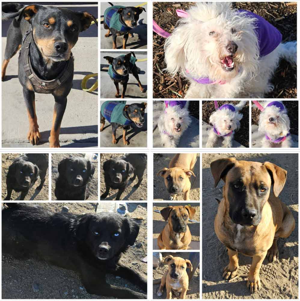 Monday On The Move 1-13-2025