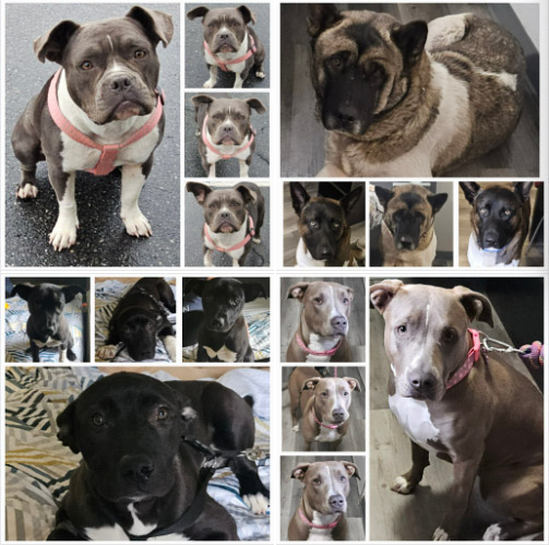 Thursday's Treasures 3-13-2025