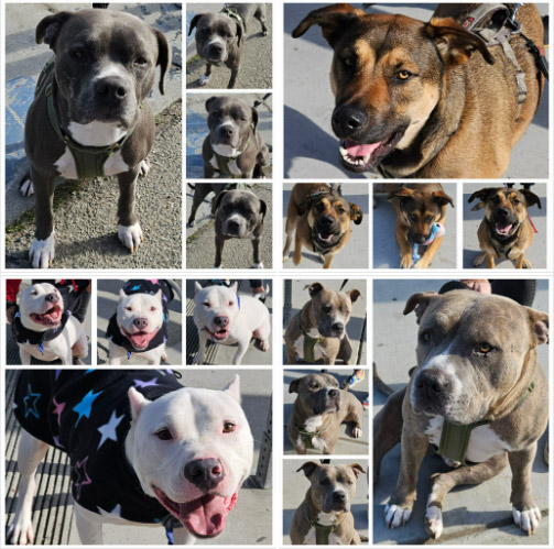 Monday On The Move 3-17-2025