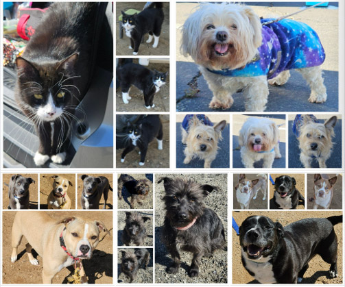 Tuesday's Treasures 3-18-2025