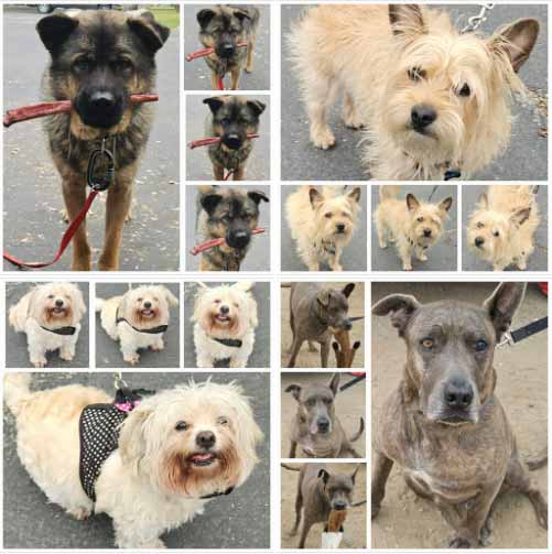 Tuesday's Treasures 4-15-2025
