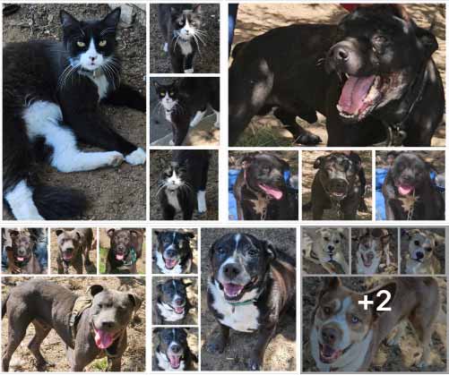 Saturday's Smiles 4-19-2025