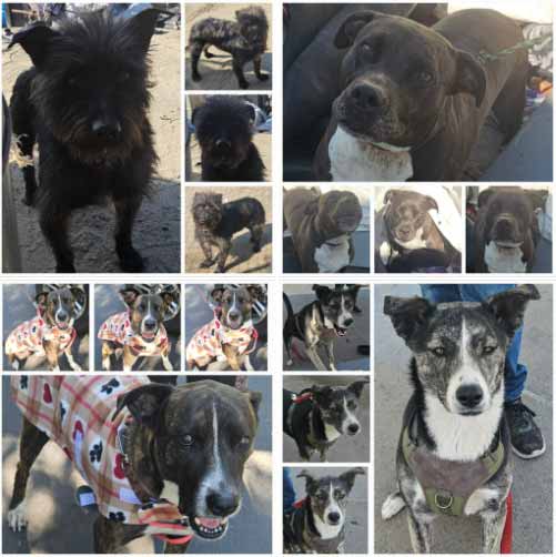 Tuesday's Treasures 4-29-2025