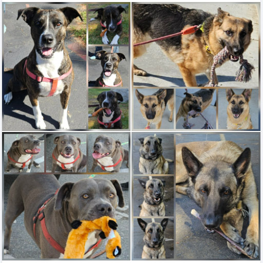 Monday On The Move 6-02-2025