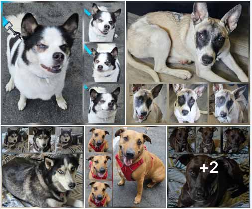 Tuesday's Treasures 7-15-2025