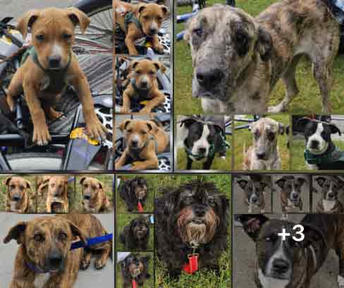 Saturday's Smiles 9-13-2025