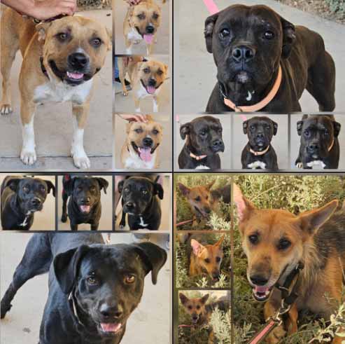 #2,378,79,80,81 and #2,382 Get 'The Works' 9-17-2025