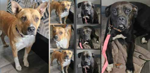 Thursday's Treasures 9-18-2025