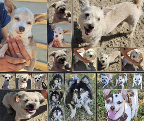 Saturday's Smiles 9-20-2025