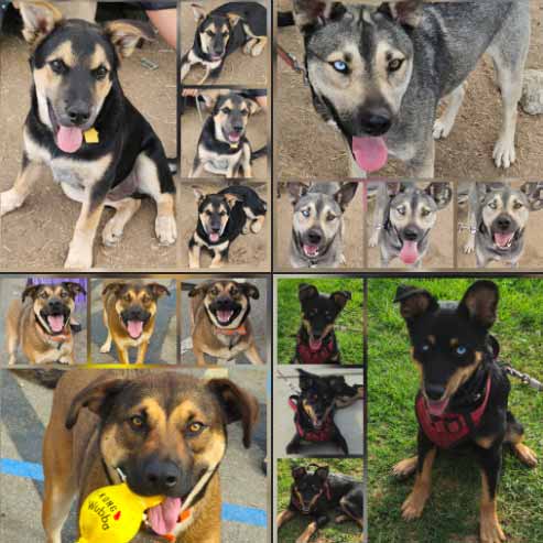 Monday On The Move 9-22-2025