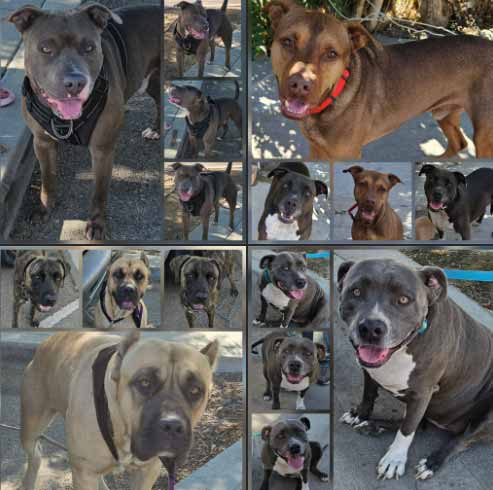 Tuesday's Treasures 9-23-2025