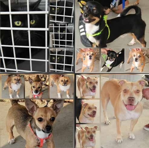 #2,383, 84, 85, 86, 87 & #2,384 Get 'The Works' 9-24-2025