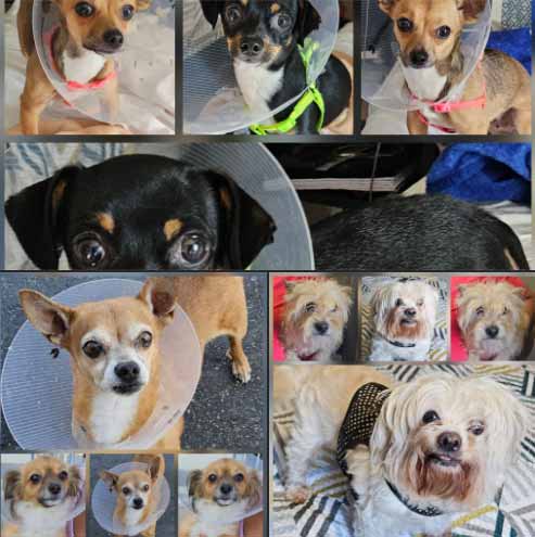 Thursday's Treasures 9-25-2025