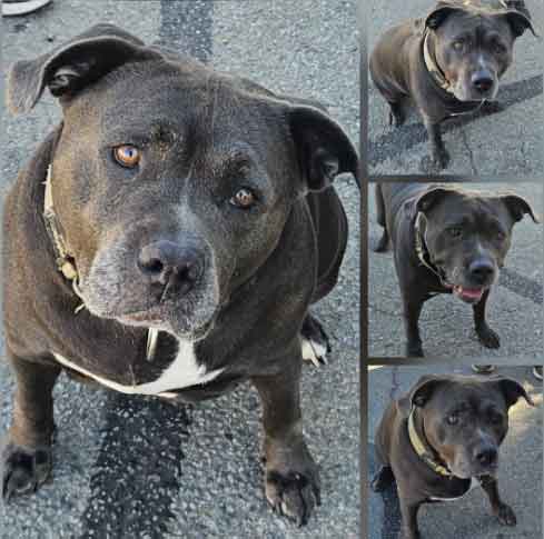 Sunday On The Streets 11-02-2025