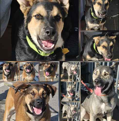 Monday On The Move 11-03-2025