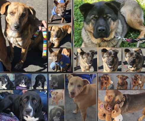 Tuesday's Treasures 11-04-2025