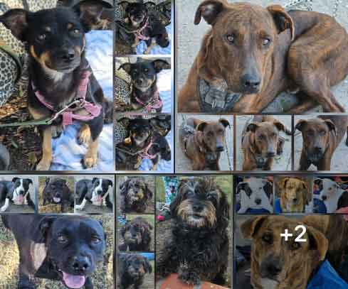 Saturday's Smiles 11-08-2025