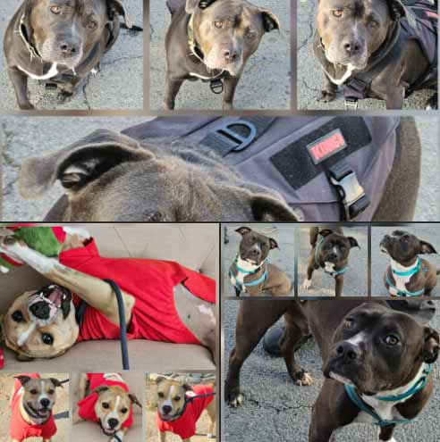 Sunday On The Streets 11-30-2025