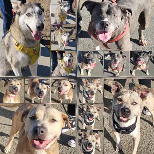 Monday On The Move 12-01-2025