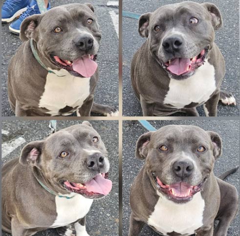 Saturday's Smile 1-03-2025