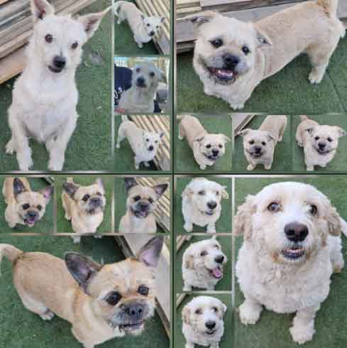 Saturday's Smiles 1-17-2025